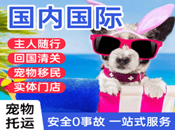 沈阳航空货运国际宠物托运 【国